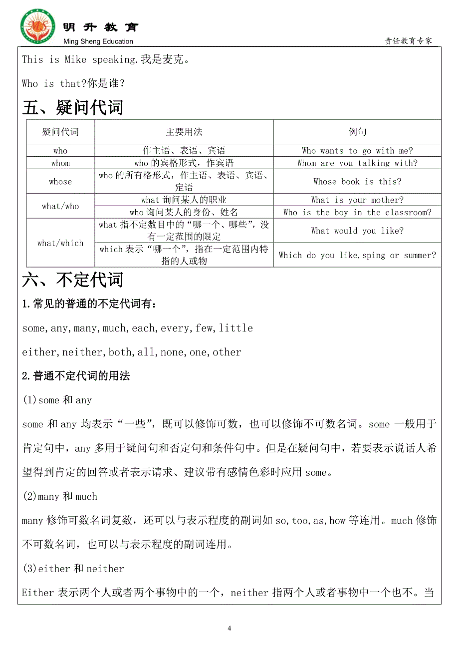 最全代词知识点梳理.doc_第4页