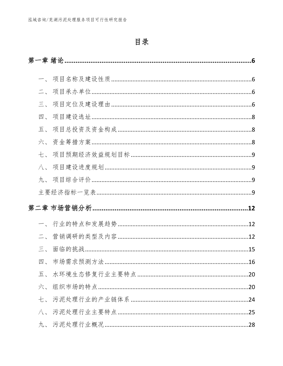 芜湖污泥处理服务项目可行性研究报告_范文_第2页