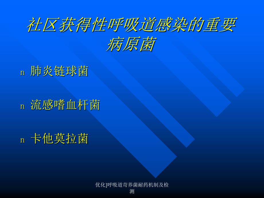 优化呼吸道苛养菌耐药机制及检测课件_第2页