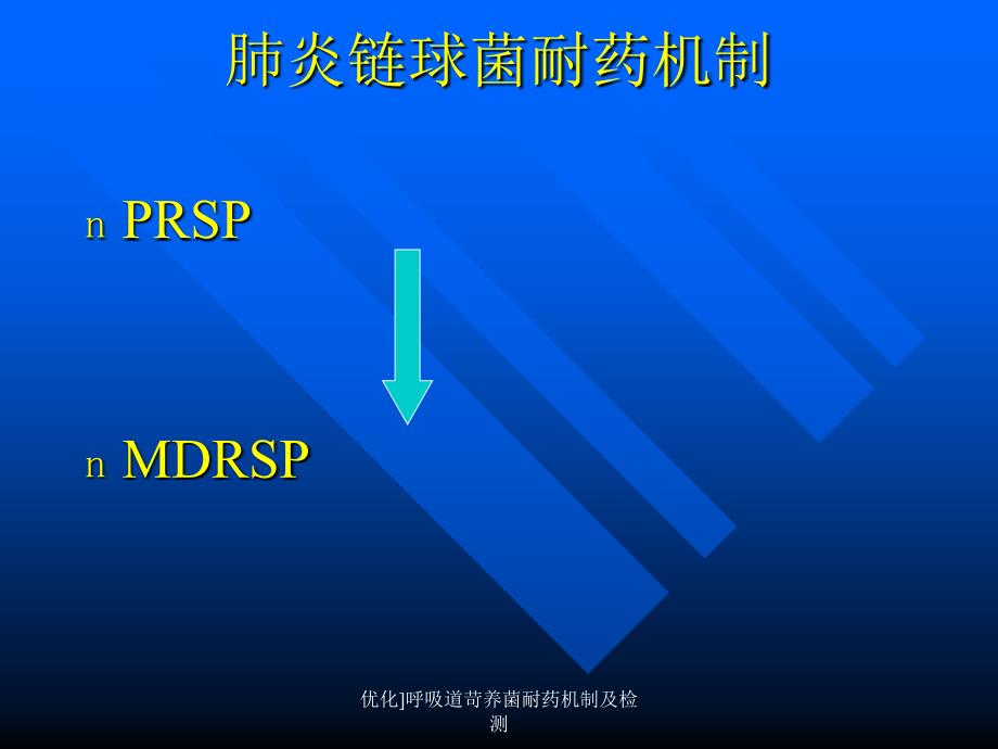 优化呼吸道苛养菌耐药机制及检测课件_第3页