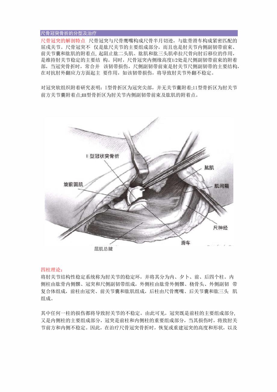 尺骨冠突骨折的分型及治疗_第1页