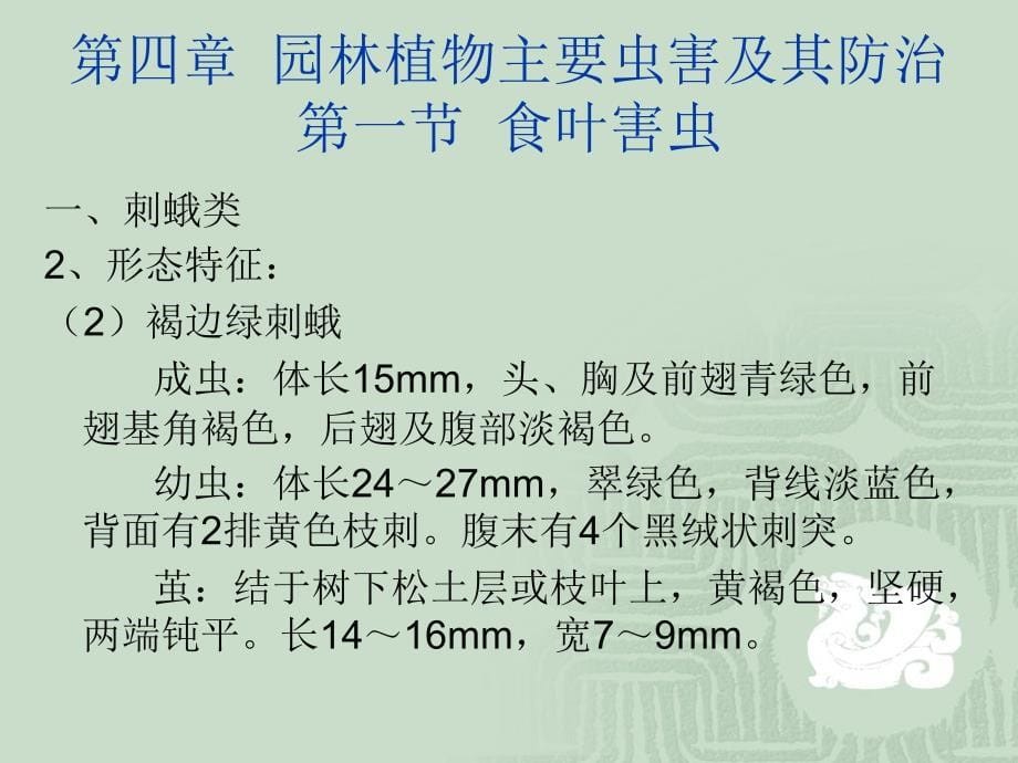 gAAA课件第四章园林植物主要虫害及其防治_第5页