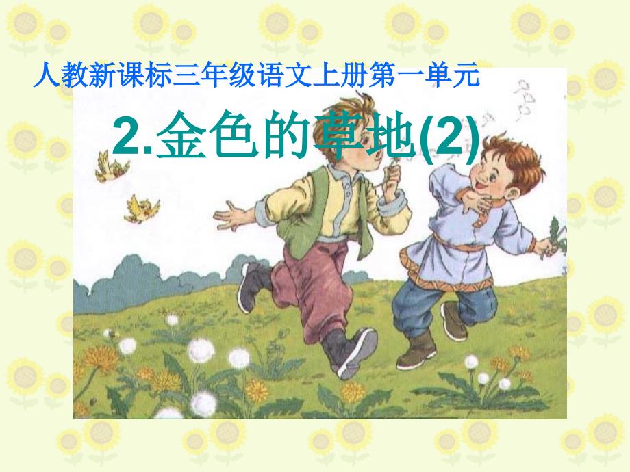 金色的草地第二课时.ppt_第1页