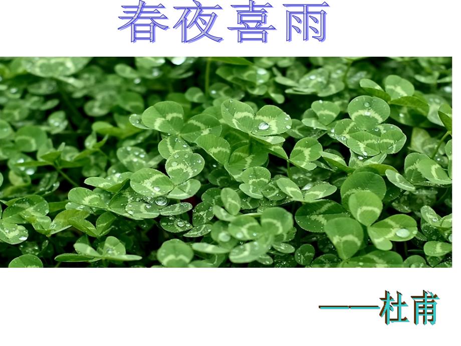 修改后的新春夜喜雨_第1页