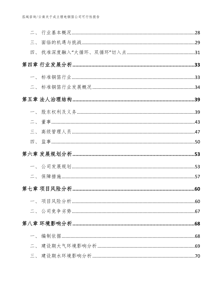 云南关于成立锂电铜箔公司可行性报告_模板范本_第3页
