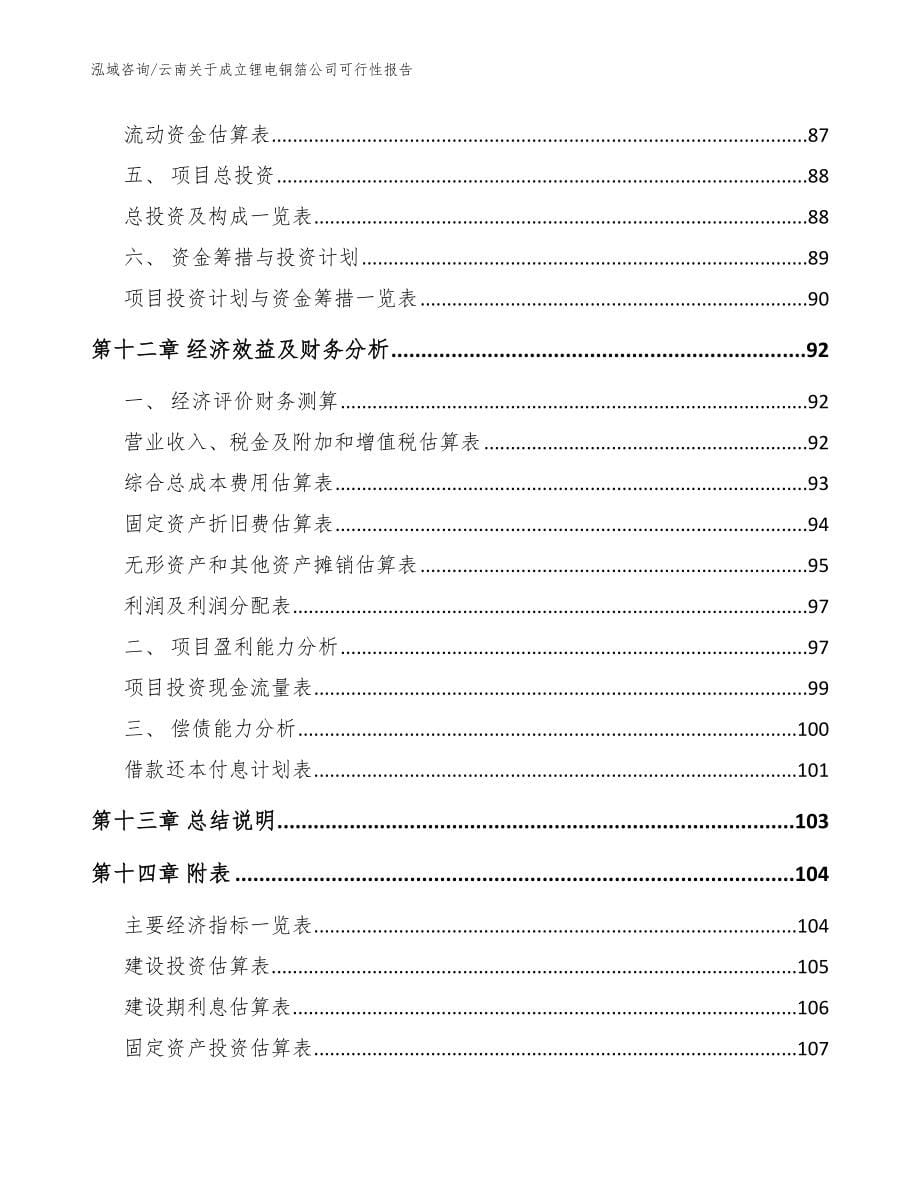 云南关于成立锂电铜箔公司可行性报告_模板范本_第5页