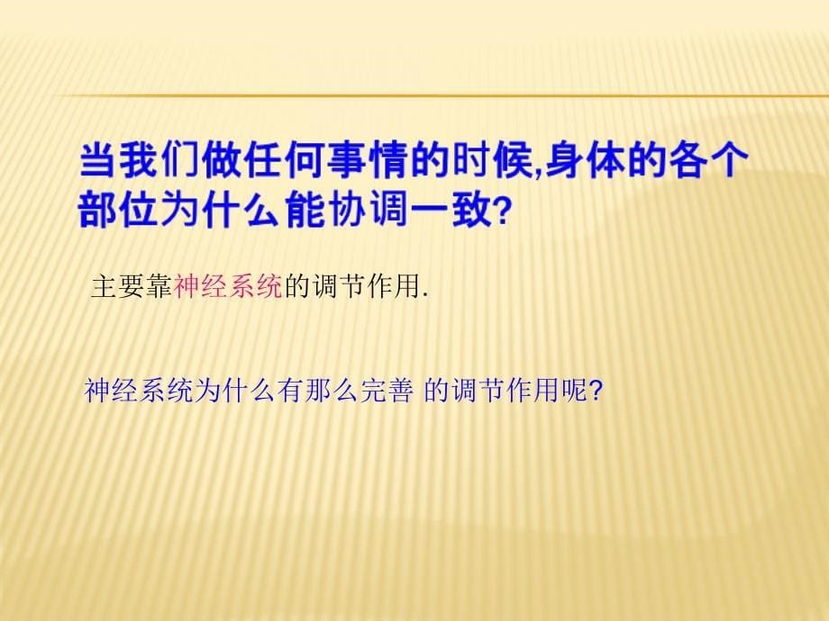 第六章第二节神经系统的组成_第5页