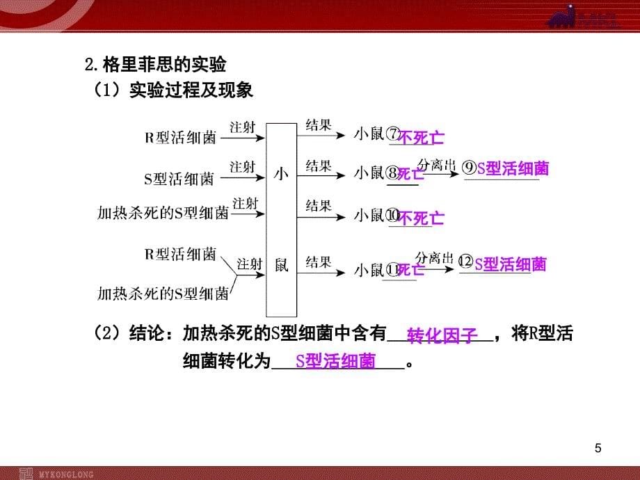 人教版高中生物必修二3.1DNA是主要的遗传物质.ppt_第5页