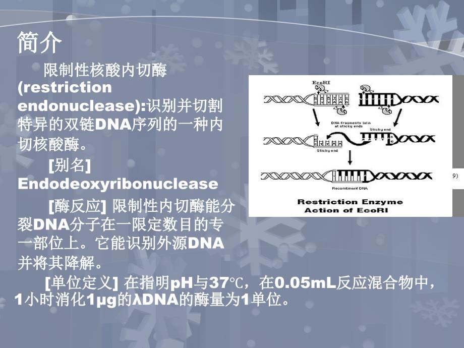 限制性内切酶小知识_第2页