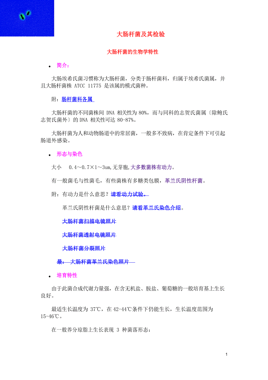 大肠杆菌及其检验_第1页