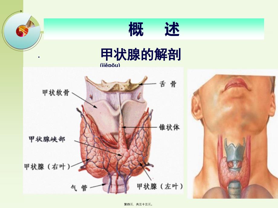 2022年医学专题—一例甲亢患者的病例讨论_第4页