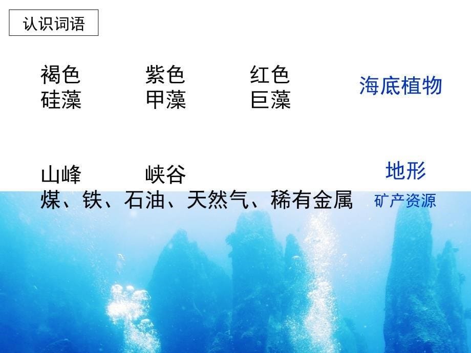 苏教版三下22《海底世界》.ppt_第5页