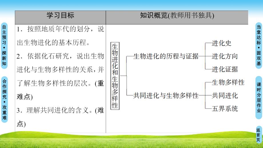 1819第5章第2节生物进化和生物多样性_第2页