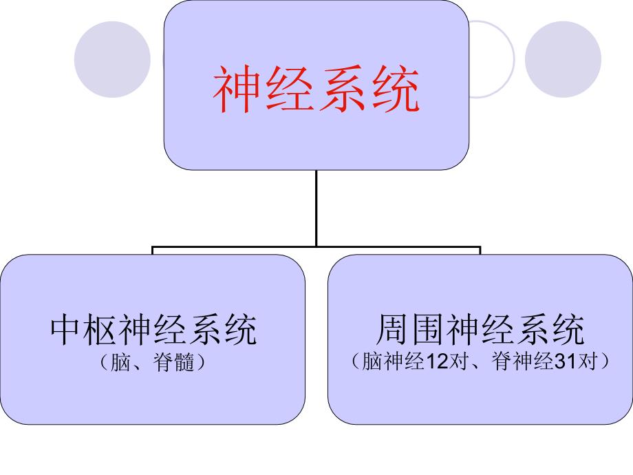 神经系统疾病病人常见症状体征的护理资料_第2页