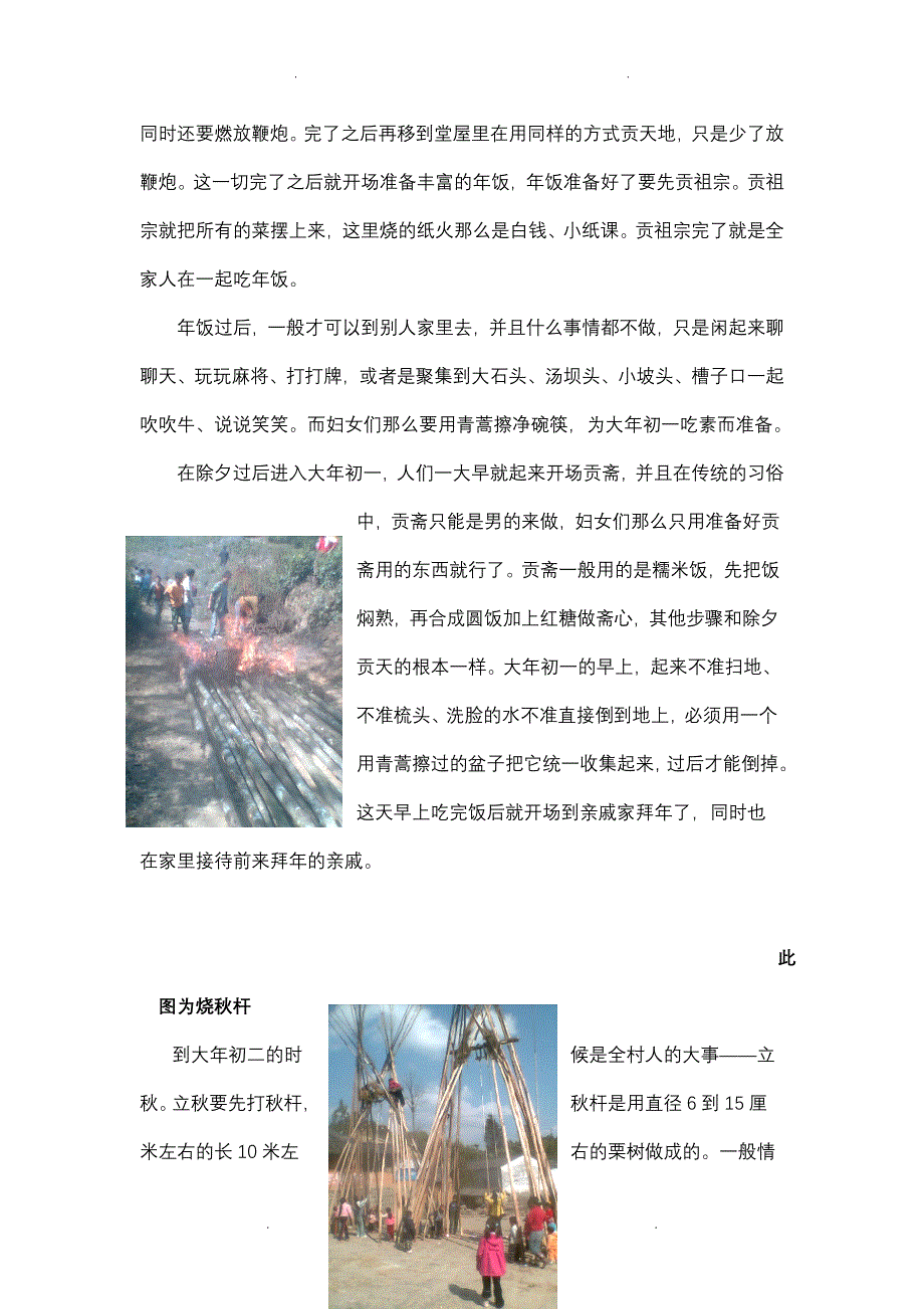 边疆农村春节民俗民风调查_第3页