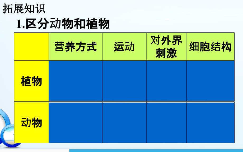 腔肠动物和扁形动物精品教育_第1页