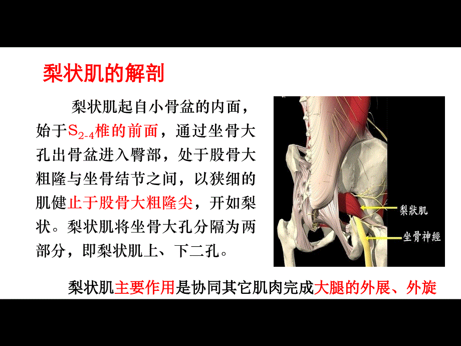 推荐精选梨状肌综合征_第3页