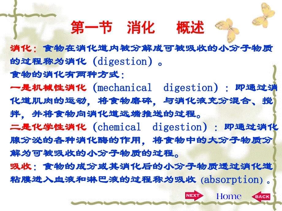 生理学第六章消化和吸收.ppt_第5页