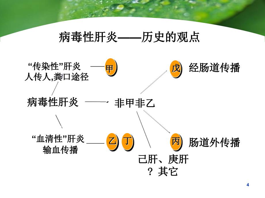 流行病学病毒性肝炎课件_第4页