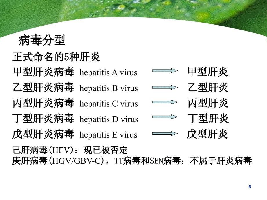 流行病学病毒性肝炎课件_第5页