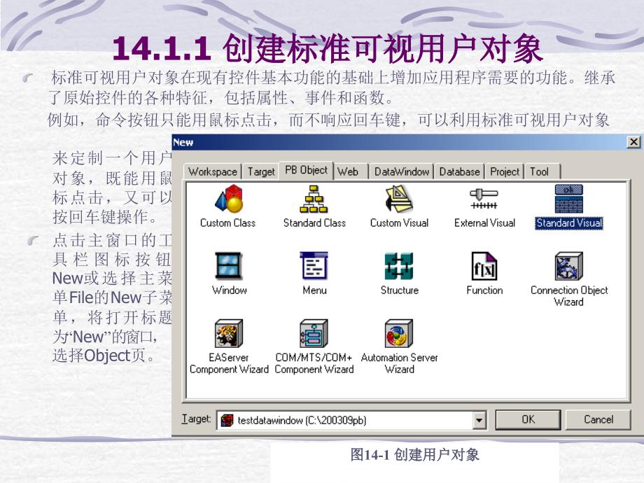 PB 14第14章 用户自定义对象_第3页
