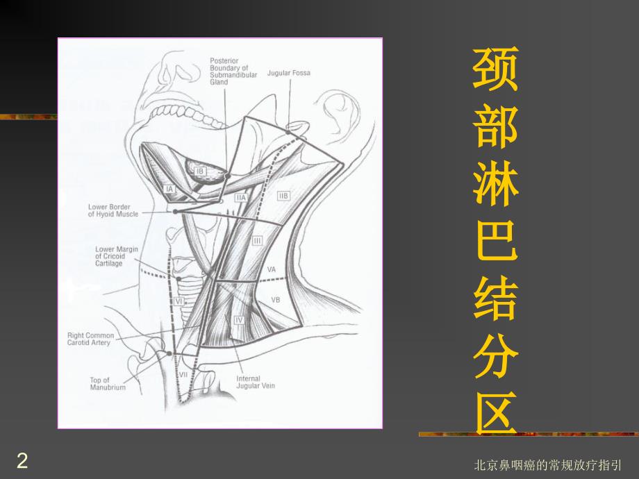 北京鼻咽癌的常规放疗指引课件_第2页