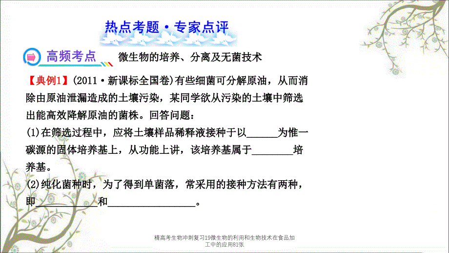 精高考生物冲刺复习19微生物的利用和生物技术在食品加工中的应用81张课件_第4页