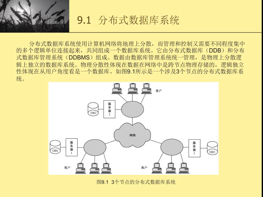 数据库的新技术PPT课件_第2页