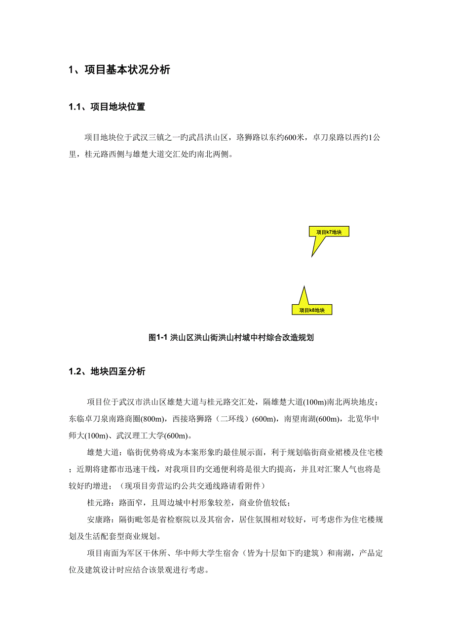 项目策划定位分析报告_第4页