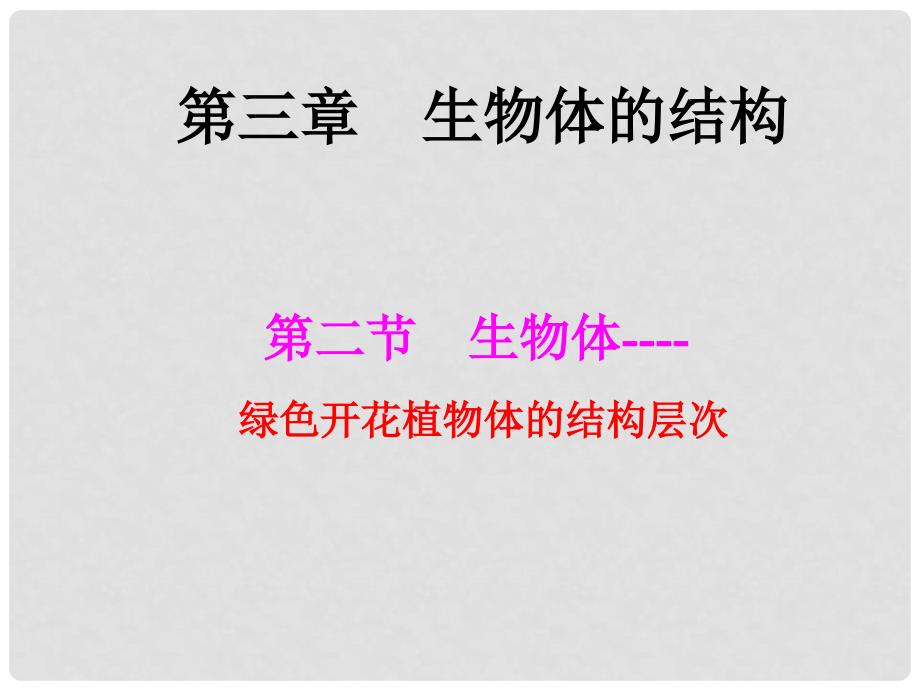 北京市大兴区魏善庄中学七年级生物上册 第三章 第二节 生物体绿色开花植物体的结构层次课件 北京课改版_第1页