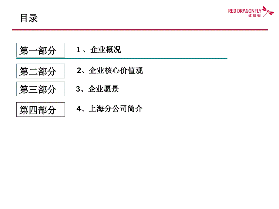 蜻蜓企业文化_第3页