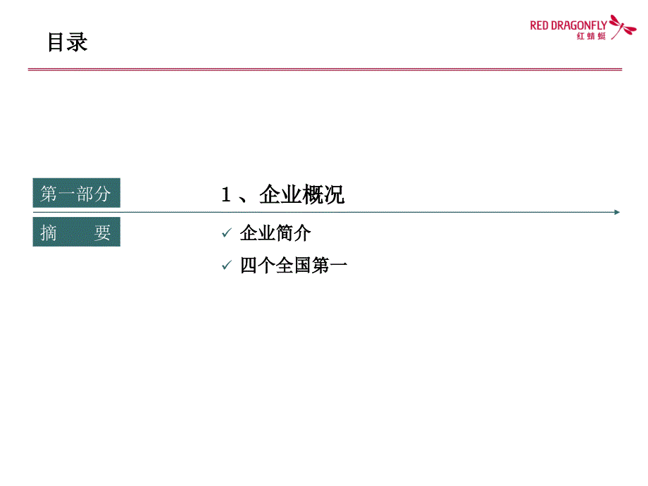 蜻蜓企业文化_第4页