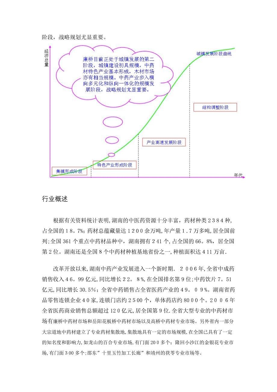 廉桥药都经济发展战略规划_第5页