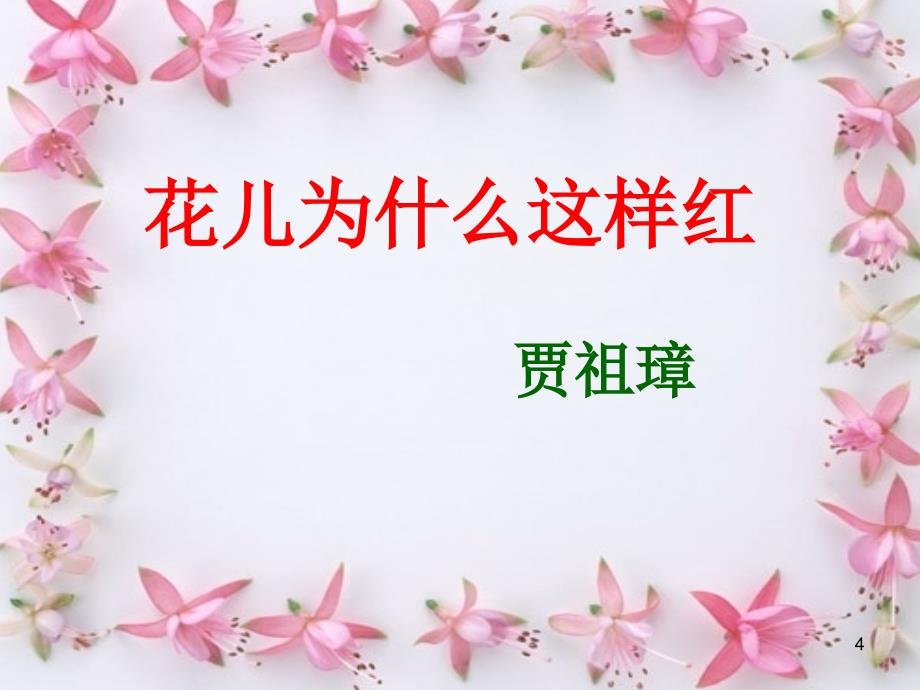 花儿为什么这样红.ppt_第4页