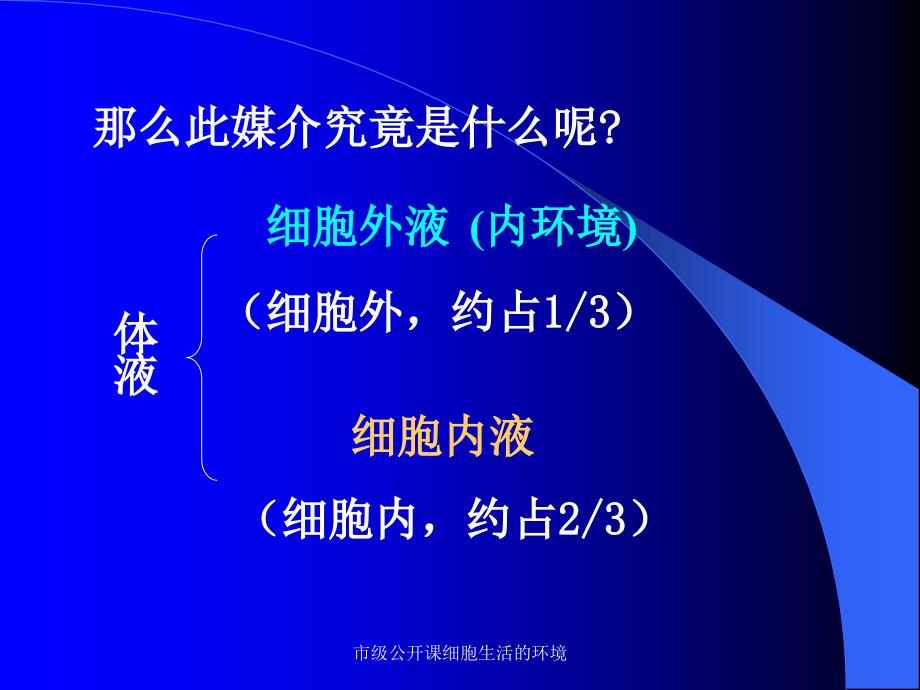 市级公开课细胞生活的环境课件_第4页