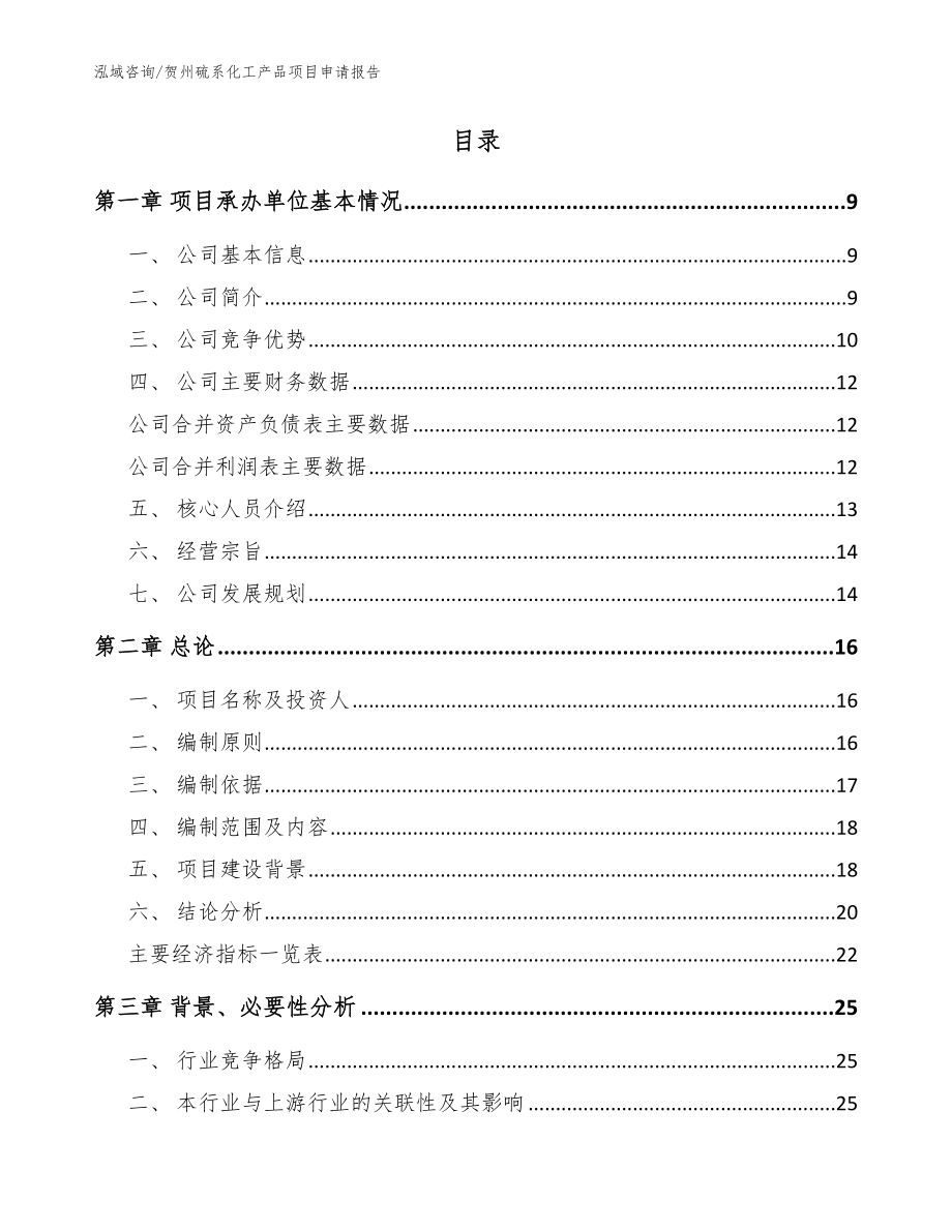 贺州硫系化工产品项目申请报告_第2页