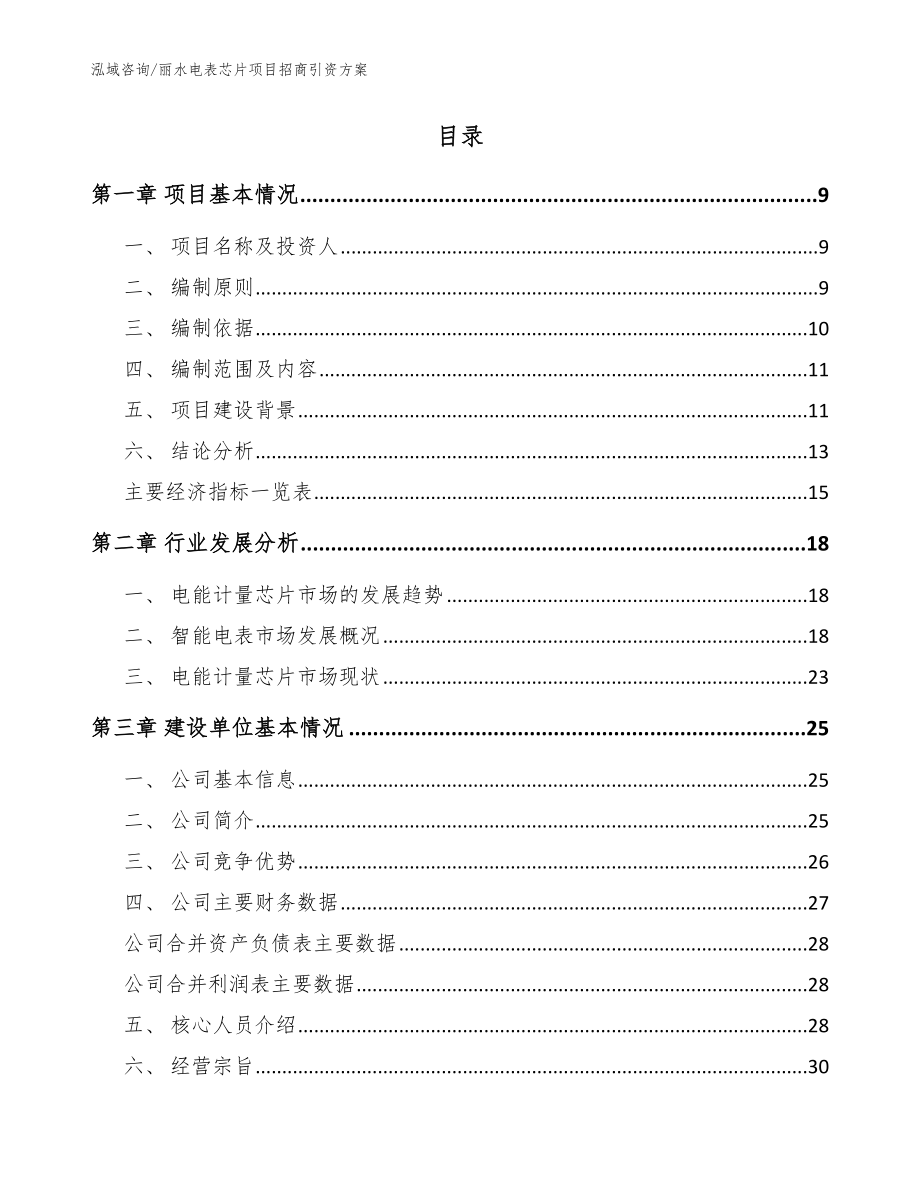 丽水电表芯片项目招商引资方案_模板范本_第2页