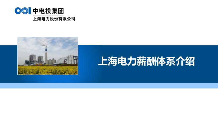 上海电力薪酬体系介绍_第1页