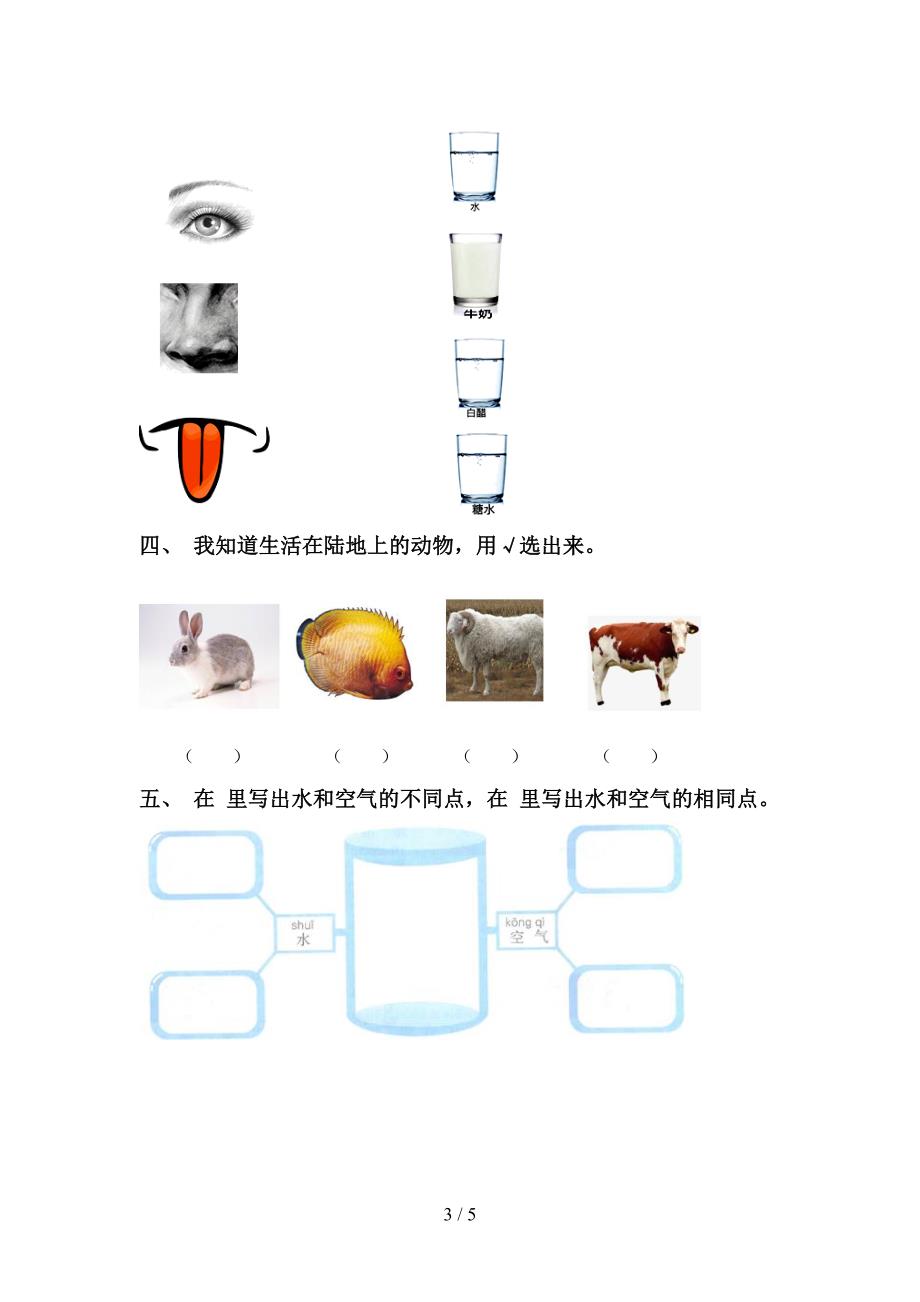 新人教版一年级科学上册期中测试卷及参考答案.doc_第3页