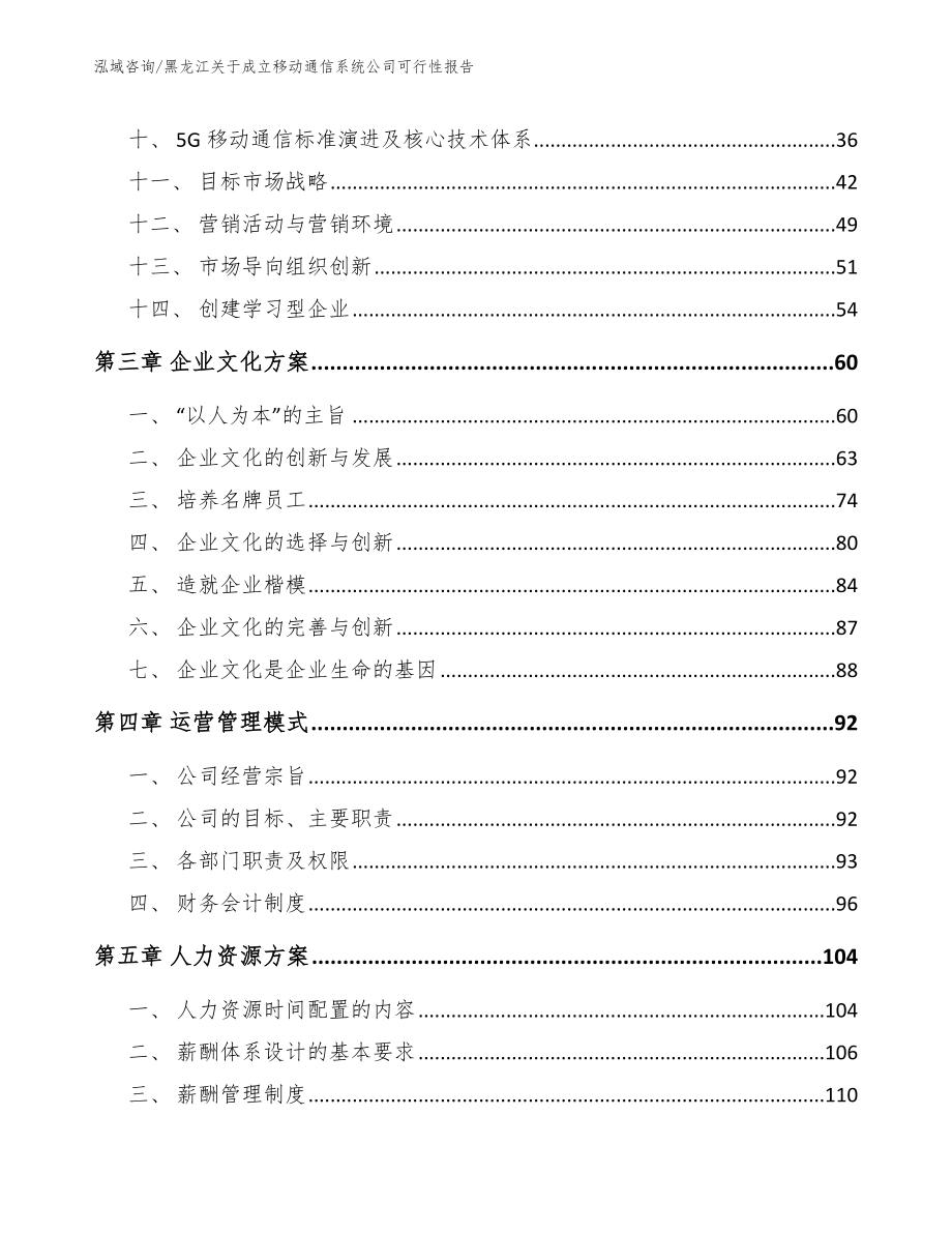 黑龙江关于成立移动通信系统公司可行性报告_第3页