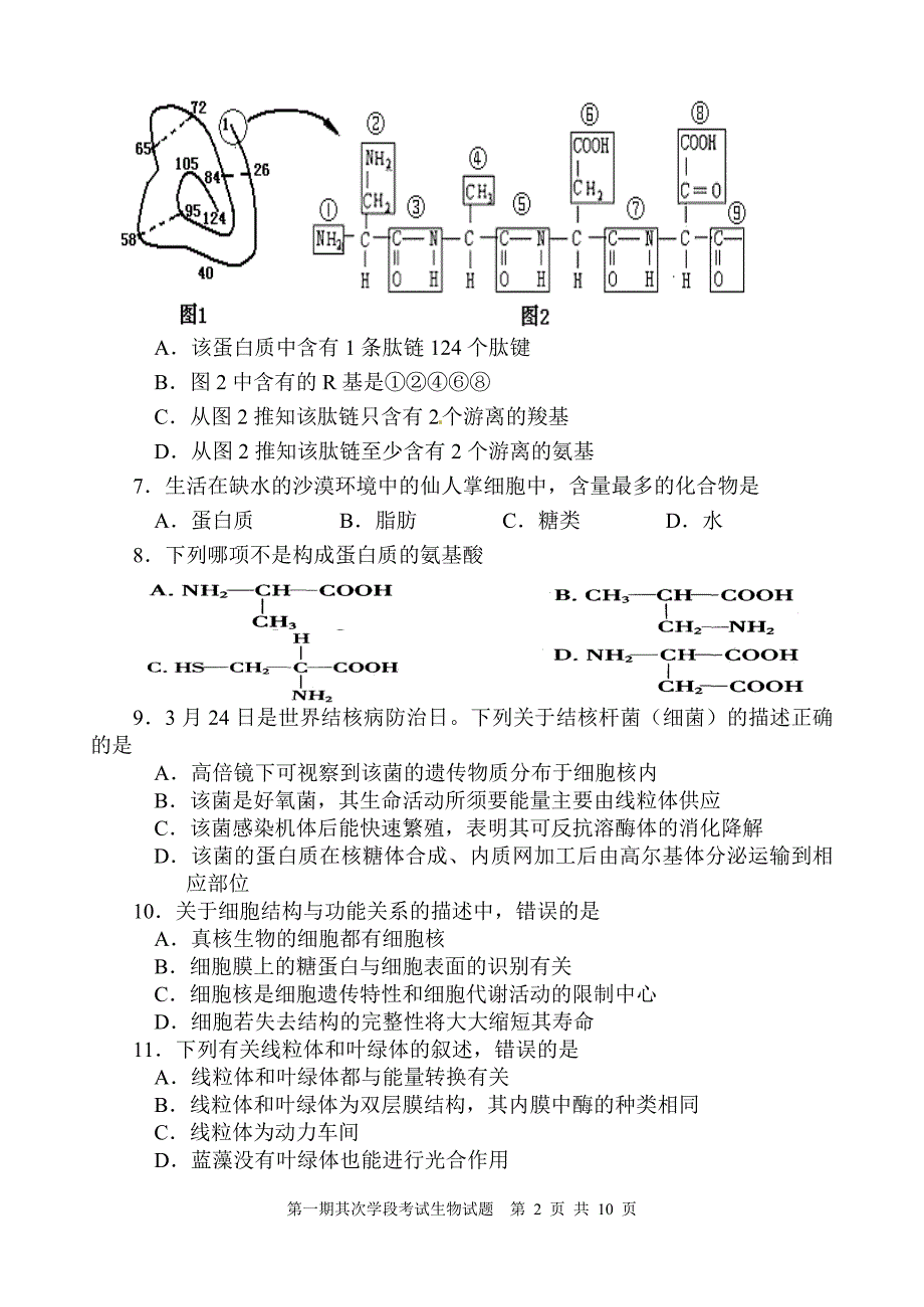 高中生物必修一期末考试试题及答案_第2页