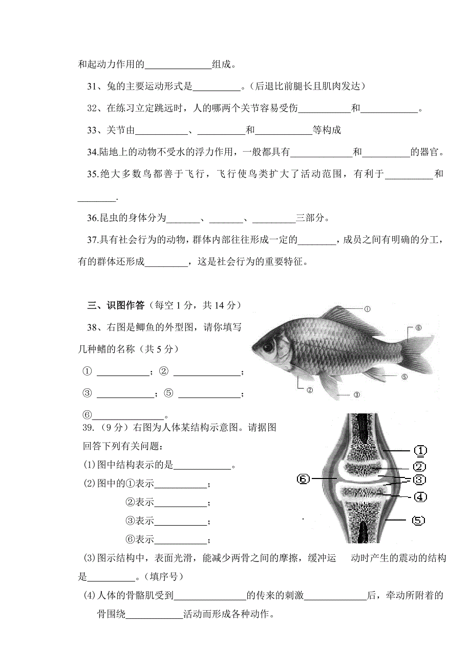 八年级上册生物期中考试试卷.doc_第3页