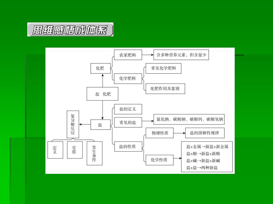 第11单元盐化学肥料_第2页