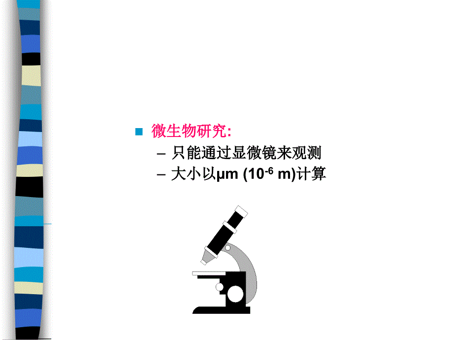 常见细菌分类_第4页