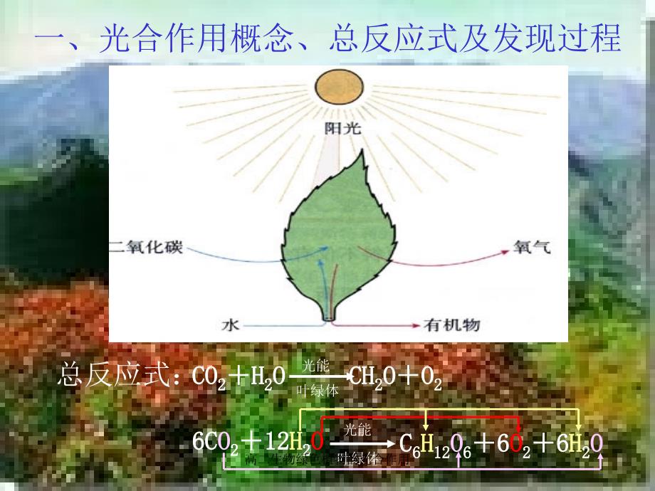 高二生物绿色植物的光合作用课件_第3页