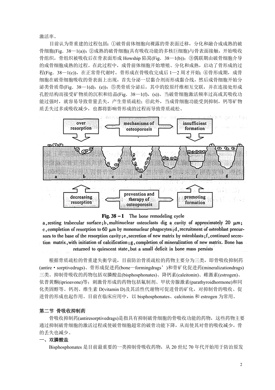 第38章抗骨质疏松的药物.doc_第2页