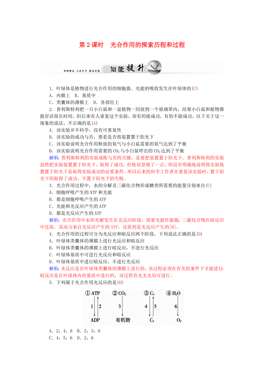 高中生物5.4.2能量之源-光与光合作用知能提升新人教版必修1.doc_第1页