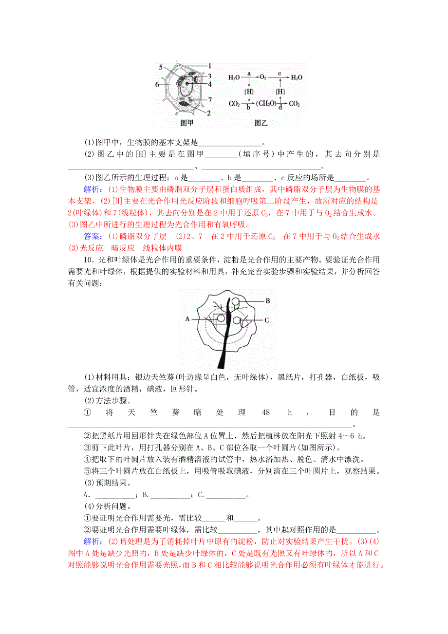 高中生物5.4.2能量之源-光与光合作用知能提升新人教版必修1.doc_第3页