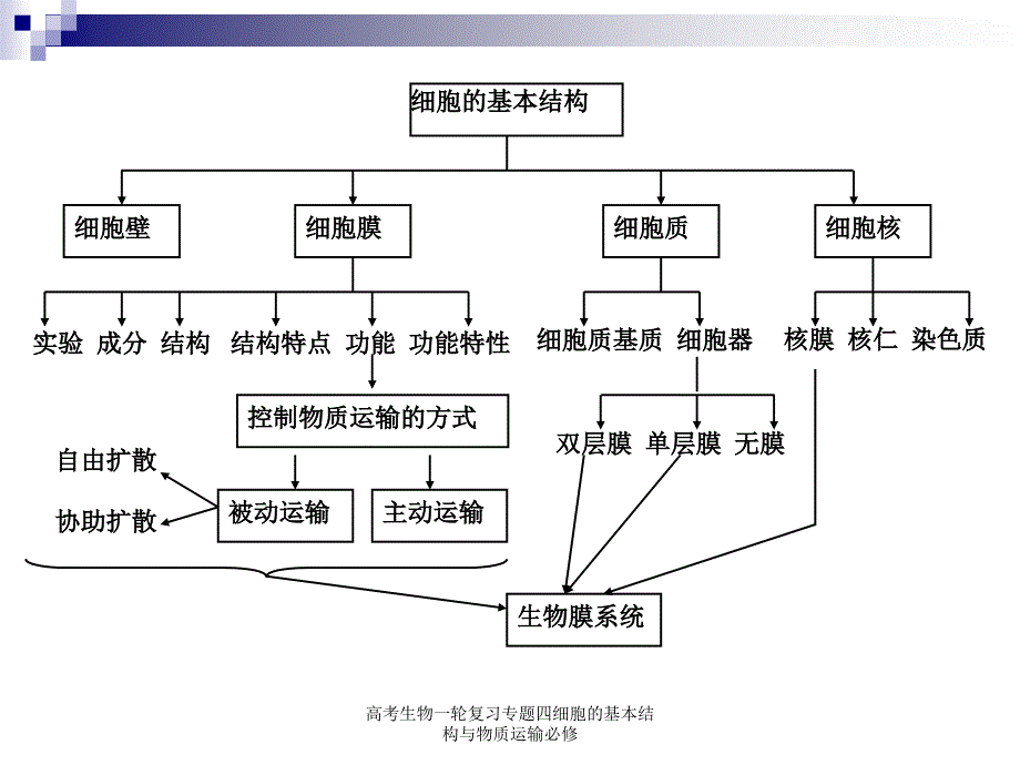 高考生物一轮复习专题四细胞的基本结构与物质运输必修课件_第2页