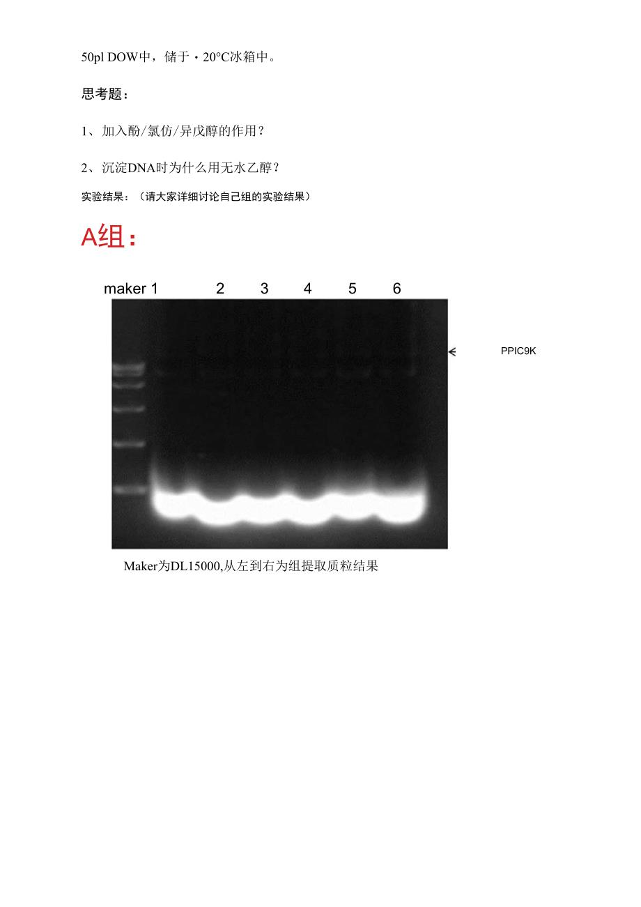 实验一-碱裂解法提取质粒DNA_第4页